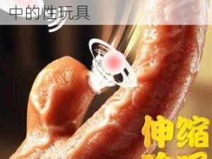 亚洲黄色性视频：成人用品中的性玩具