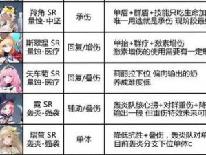 锚点降临模组最佳搭配指南：优化策略与实战应用解析