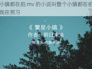 整个小镇都在拍 mv 的小说叫整个小镇都在拍 mv，只有我在预习