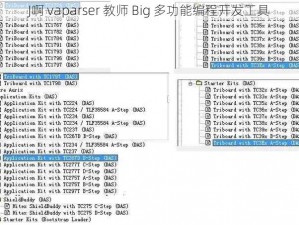 J啊 vaparser 教师 Big 多功能编程开发工具