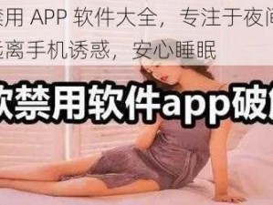 夜里禁用 APP 软件大全，专注于夜间管理，让你远离手机诱惑，安心睡眠