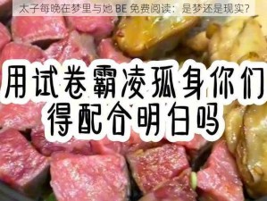 太子每晚在梦里与她 BE 免费阅读：是梦还是现实？