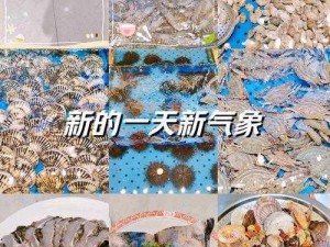 食戟之灵梦幻料理道之秘：道具全解析与合成指南及其作用概览