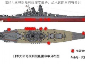 海战世界野队战列舰深度解析：战术运用与细节探讨