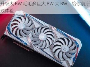 全新升级大 BW 毛毛多巨大 BW 大 BW，给你前所未有的极致体验