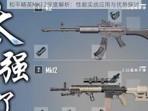 和平精英MK12深度解析：性能实战应用与优势探讨