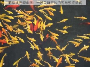 滟潋波光鲤鱼舞：一场鱼群狂欢的视觉预览盛宴