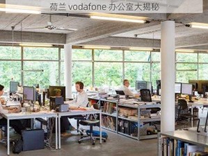 荷兰 vodafone 办公室大揭秘