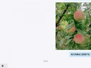 蜜桃视频 comwww：热门大片免费看，你还在等什么？