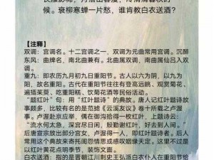 关于诗词大皇帝的安装与配置详解：全面指南