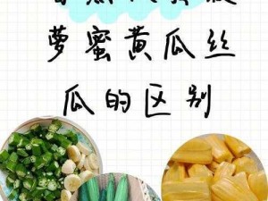 秋葵草莓丝瓜黄瓜榴莲大全，各种水果、蔬菜、瓜类应有尽有，满足你对美食的所有需求