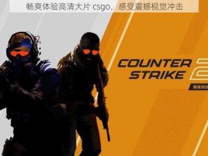 畅爽体验高清大片 csgo，感受震撼视觉冲击