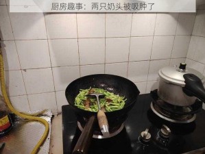 厨房趣事：两只奶头被吸肿了