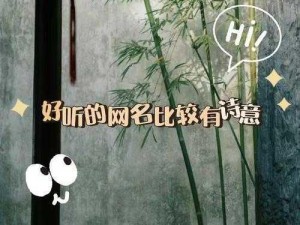 瞬间吸粉2023 四虎海外网名大全，带你领略网络世界的精彩