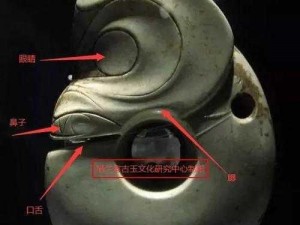 避尘服：古代服饰中的珍宝，详尽解读其起源演变与特色图鉴