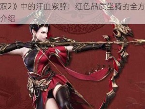 《极无双2》中的汗血紫骍：红色品质坐骑的全方位解析与特点介绍