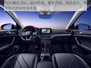 国产 SUV 精品 201，时尚外观，豪华内饰，强劲动力，丰富配置，带给你舒适驾乘体验