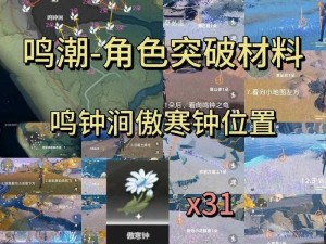 鸣潮甘雪地理位置揭秘：商人甘雪所在详细位置探索报告