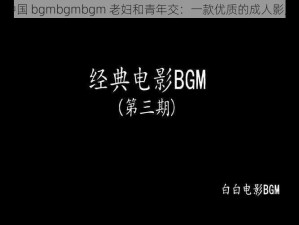 中国 bgmbgmbgm 老妇和青年交：一款优质的成人影片