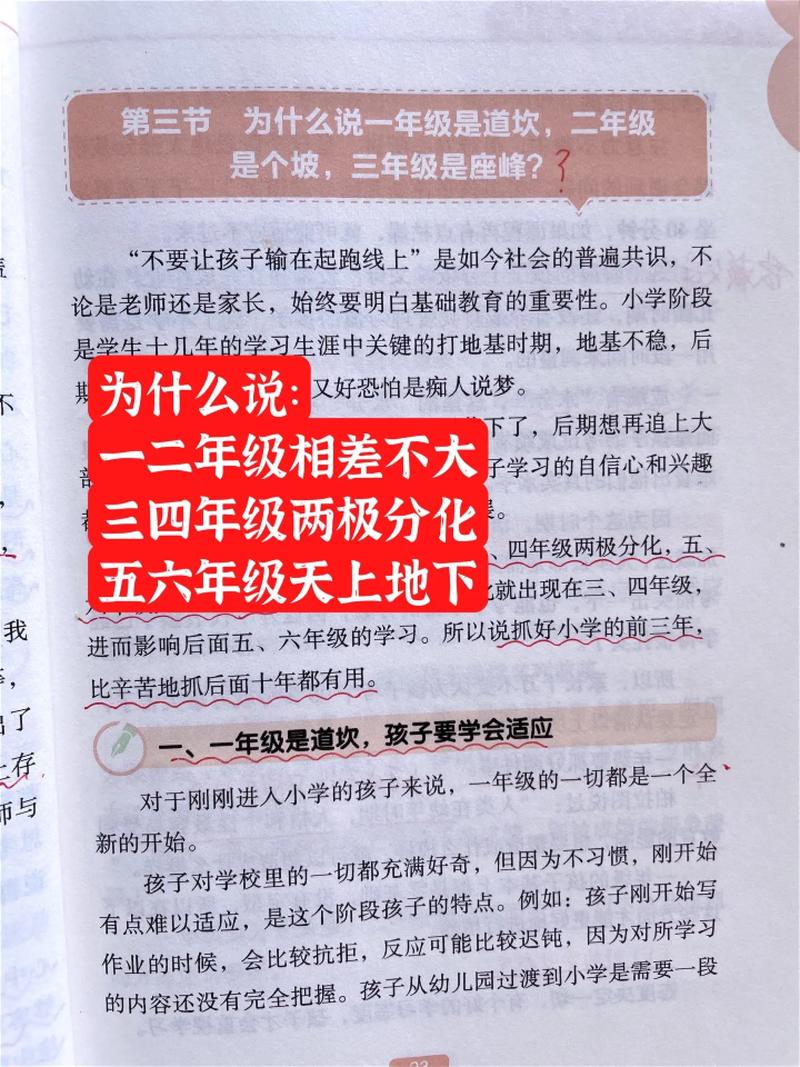 正版授权，趣味学习，萌虎宝典让你轻松收获知识