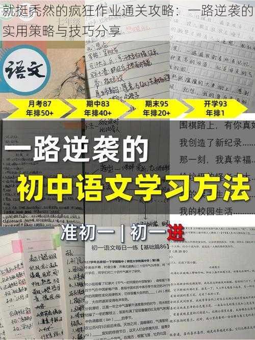 就挺秃然的疯狂作业通关攻略：一路逆袭的实用策略与技巧分享