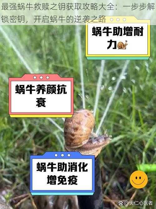 最强蜗牛救赎之钥获取攻略大全：一步步解锁密钥，开启蜗牛的逆袭之路