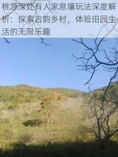 桃源深处有人家息壤玩法深度解析：探索古韵乡村，体验田园生活的无限乐趣