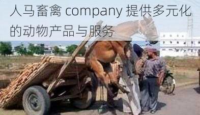 人马畜禽 company 提供多元化的动物产品与服务