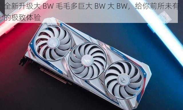 全新升级大 BW 毛毛多巨大 BW 大 BW，给你前所未有的极致体验