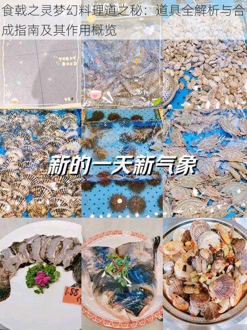 食戟之灵梦幻料理道之秘：道具全解析与合成指南及其作用概览