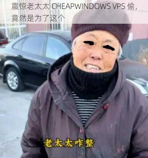 震惊老太太 CHEAPWINDOWS VPS 偷，竟然是为了这个