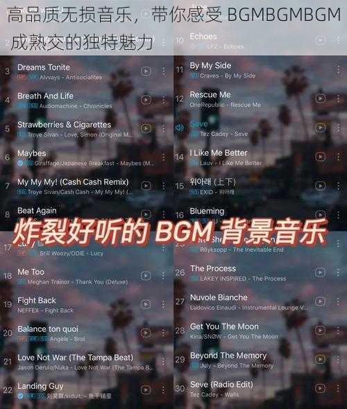 高品质无损音乐，带你感受 BGMBGMBGM 成熟交的独特魅力