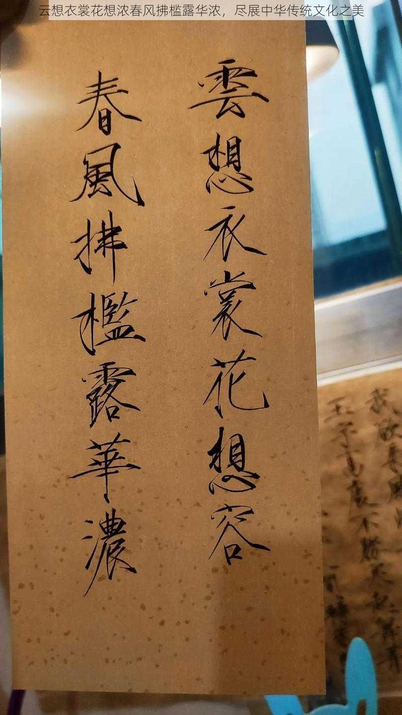 云想衣裳花想浓春风拂槛露华浓，尽展中华传统文化之美