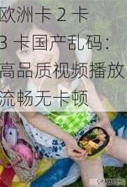 欧洲卡 2 卡 3 卡国产乱码：高品质视频播放，流畅无卡顿