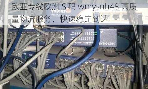 欧亚专线欧洲 S 码 wmysnh48 高质量物流服务，快速稳定到达