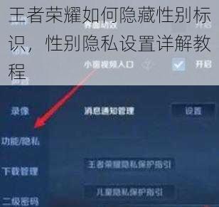 王者荣耀如何隐藏性别标识，性别隐私设置详解教程