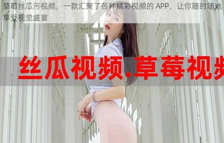 草莓丝瓜污视频，一款汇聚了各种精彩视频的 APP，让你随时随地享受视觉盛宴