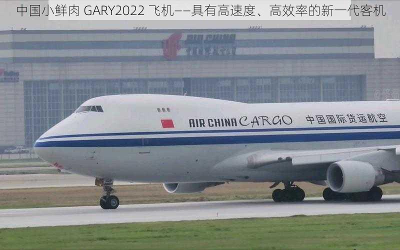 中国小鲜肉 GARY2022 飞机——具有高速度、高效率的新一代客机