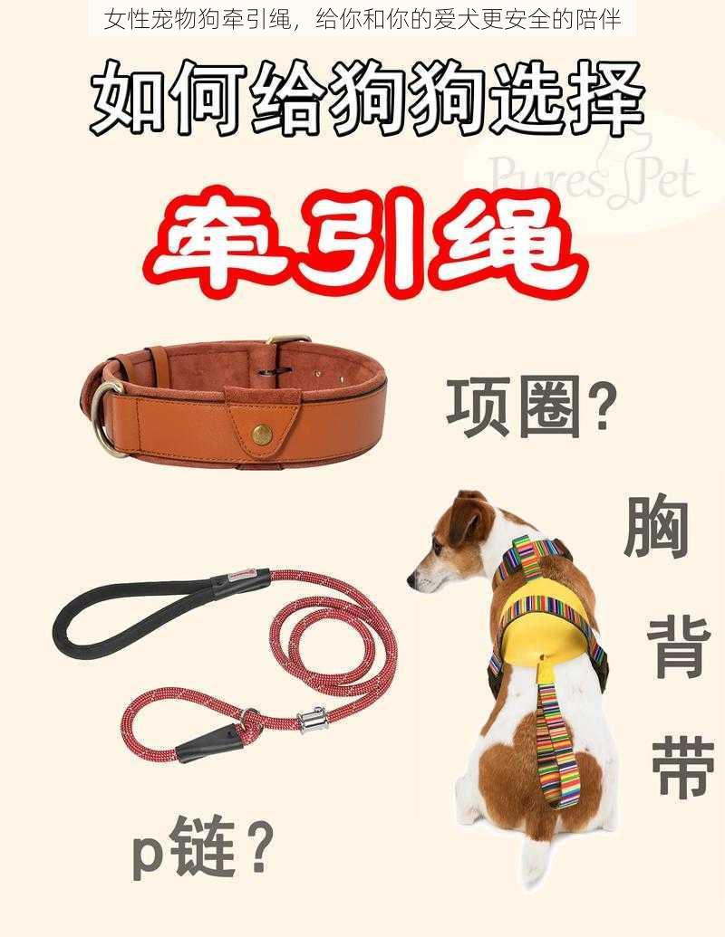 女性宠物狗牵引绳，给你和你的爱犬更安全的陪伴