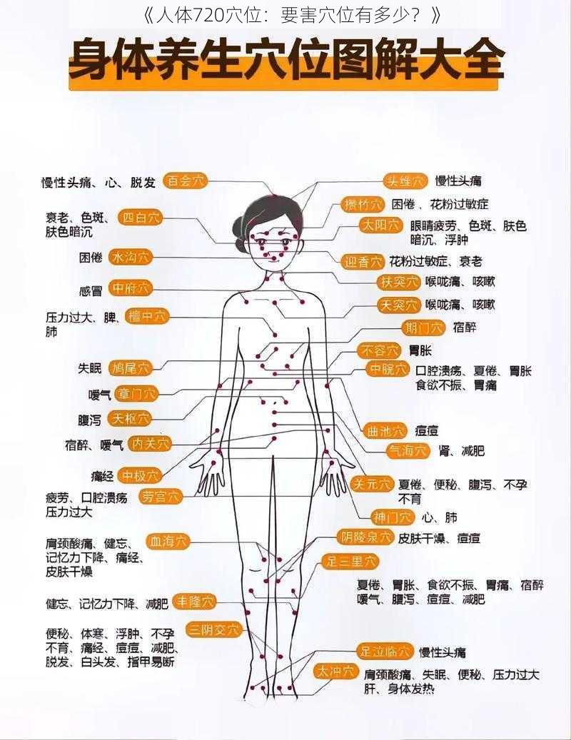 《人体720穴位：要害穴位有多少？》