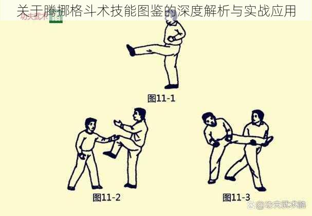 关于腾挪格斗术技能图鉴的深度解析与实战应用