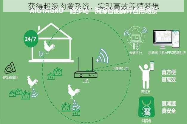 获得超级肉禽系统，实现高效养殖梦想