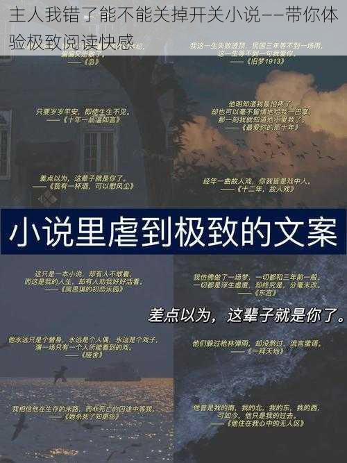 主人我错了能不能关掉开关小说——带你体验极致阅读快感