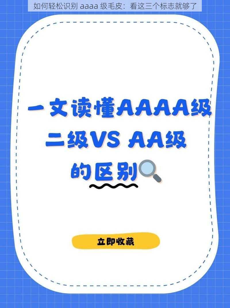 如何轻松识别 aaaa 级毛皮：看这三个标志就够了