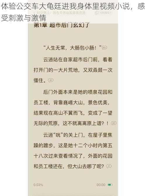 体验公交车大龟廷进我身体里视频小说，感受刺激与激情