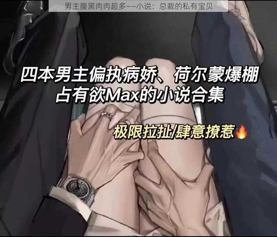 男主腹黑肉肉超多——小说：总裁的私有宝贝