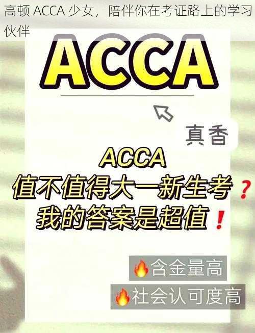 高顿 ACCA 少女，陪伴你在考证路上的学习伙伴