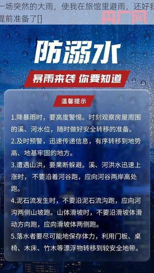 一场突然的大雨，使我在旅馆里避雨，还好我提前准备了[]