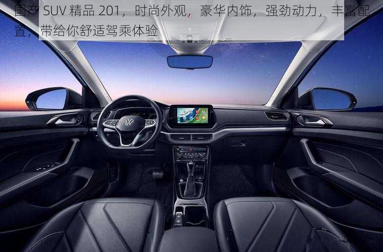 国产 SUV 精品 201，时尚外观，豪华内饰，强劲动力，丰富配置，带给你舒适驾乘体验