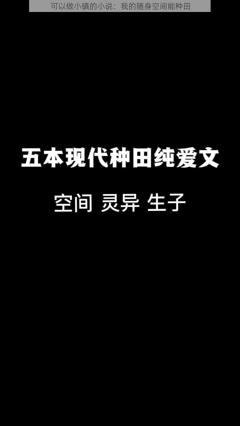 可以做小镇的小说：我的随身空间能种田